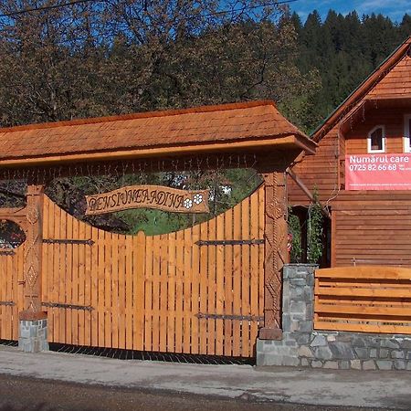 Pensiunea Adina Cavnic Buitenkant foto