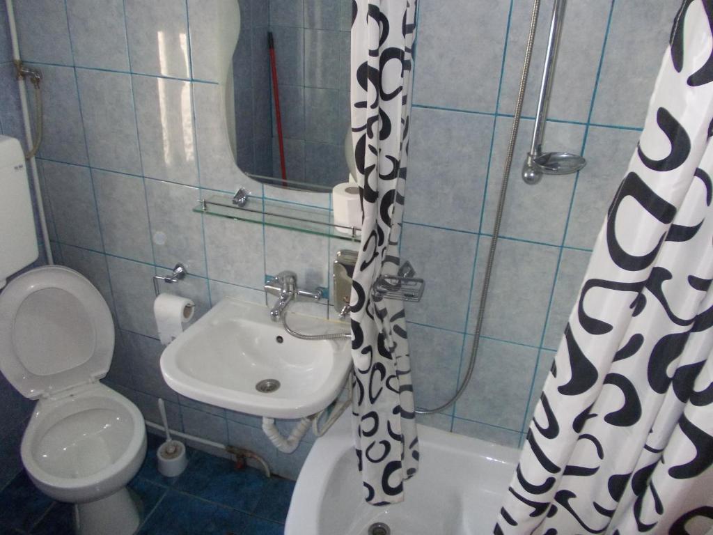 Pensiunea Adina Cavnic Kamer foto