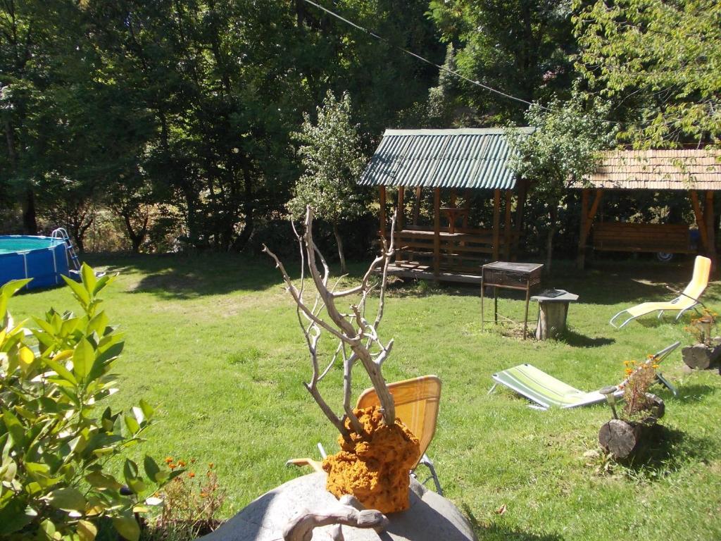 Pensiunea Adina Cavnic Buitenkant foto