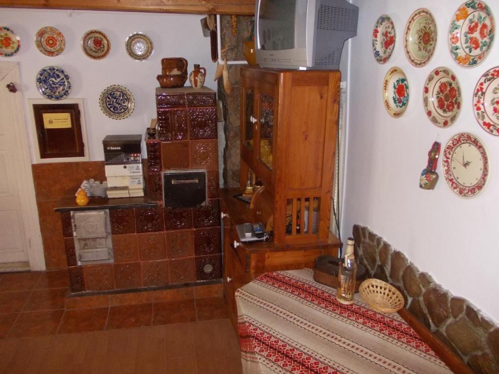 Pensiunea Adina Cavnic Buitenkant foto