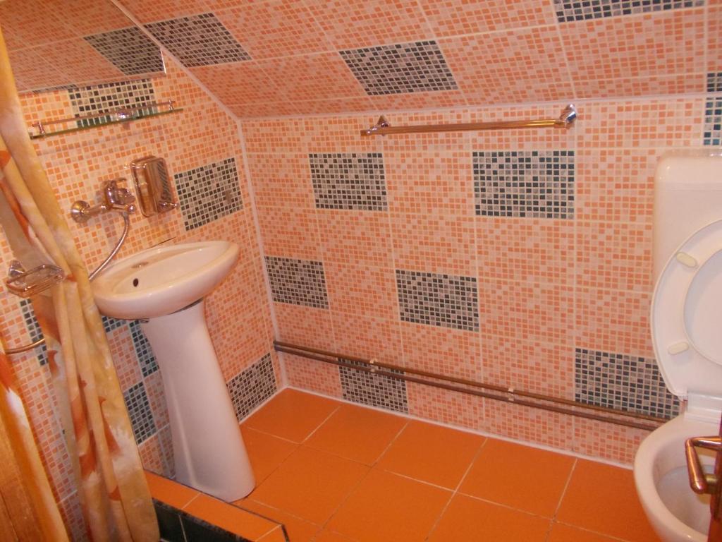 Pensiunea Adina Cavnic Kamer foto