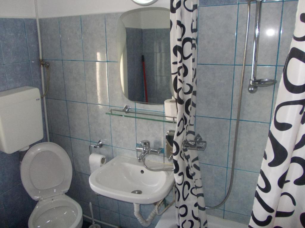 Pensiunea Adina Cavnic Kamer foto
