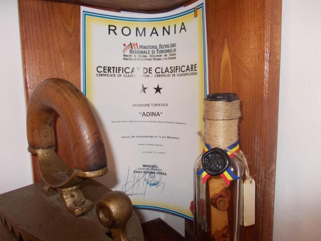 Pensiunea Adina Cavnic Buitenkant foto